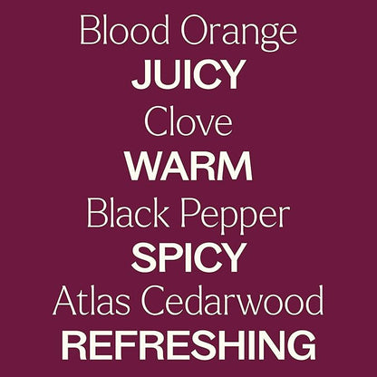 Plant Therapy Spiced Orange Holiday Essential Oil Blend 10 mL (1/3 oz) Bright Citrus Blended with Warming Spices, Inviting & Cheerful Aroma, Creates a Cozy Holiday Atmosphere