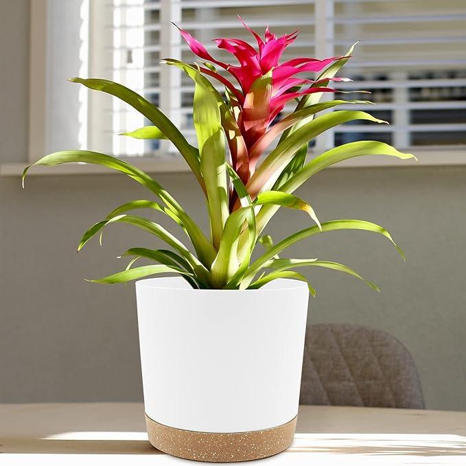 QCQHDU 8 inch Plant Pot, 2 Pack Planters for Indoor Plants with Drainage Holes & Saucer, Outdoor Flower Pots Home Garden Modern Decor