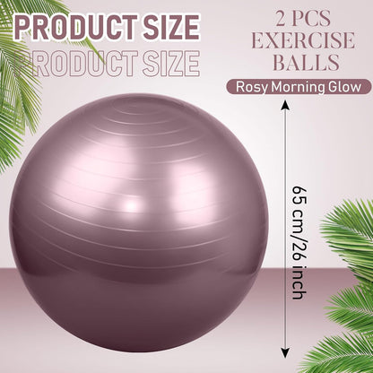 Leyndo 2 Pcs Yoga Ball Exercise Ball Large 26 Inch Exercise Anti Burst Birthing Fitness Ball with Pump, 26 Inches/ 65 cm for Improved Posture, Balance, Yoga, Pilates, Training