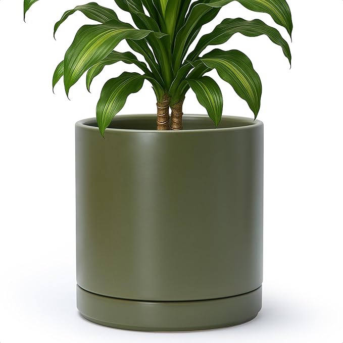 D'vine Dev 10 Inch Ceramic Planter Pot with Drainage Hole and Saucer, Indoor Cylinder Round Planter Pot, Olive, 94-O-E-J