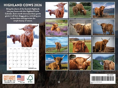 Highland Cow Calendar 2026 Scottish Cows Gifts For Highland Cow Lovers Hyland Hairy Coo Monthly Wall Calender 12 Month | American Made In The USA