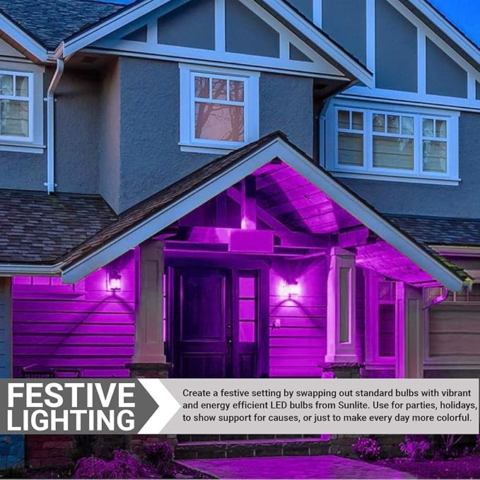 Sunlite 40946 LED A19 Colored Light Bulb, 3 Watts (25w Equivalent), E26 Medium Base, Non-Dimmable, UL Listed, Party Decoration, Holiday Lighting, 6 Count, Purple