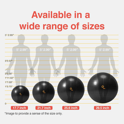 Exercise Ball for Balance Stability Fitness Workout Yoga Pilates at Home Office & Gym Birthing Ball for Pregnancy, Office Ball Chair
