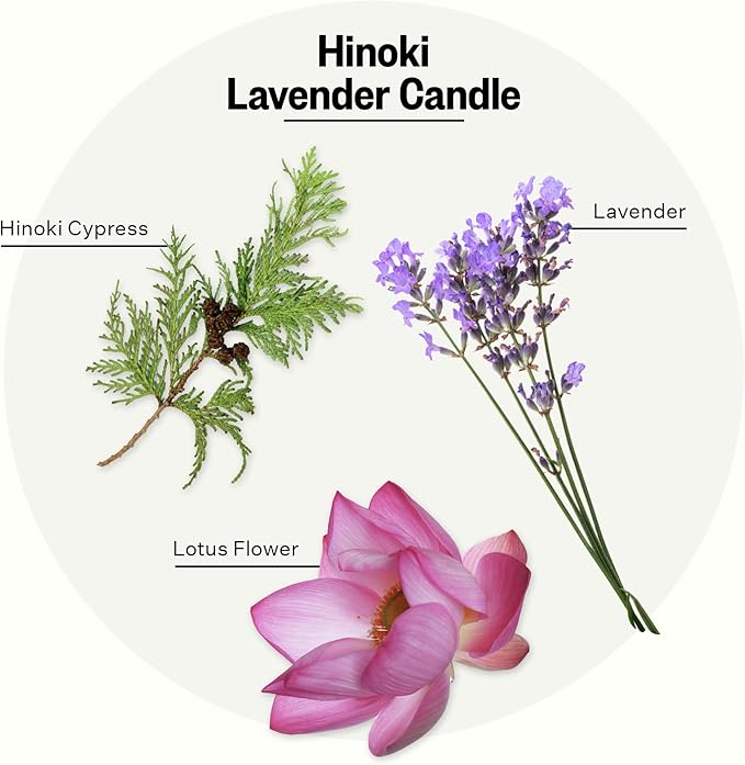 Apotheke Signature Scented Candles for Home, Hinoki Lavender - 10.5 oz - Soy Wax, Non Toxic, Large Jar White - Luxury Candle Gifts for Women & Men - Hinoki Cypress, Lavender, and Lotus Flower