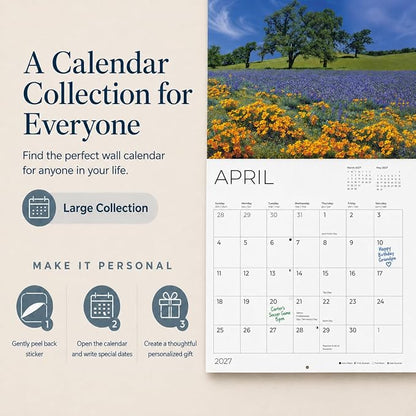 Llamas 2027 Wall Calendar, 12 x 24 Hanging Pacific Waters Press