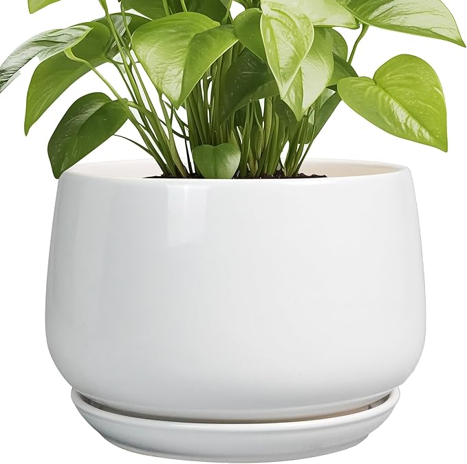 G EPGardening Ceramic Planter 9 Inch - Plant Pots with Drainage and Ceramic Saucer, Flower Pots for Indoor Plants, Modern Outdoor Planter, Living Room Decor, Gifts for Plant Lovers, White