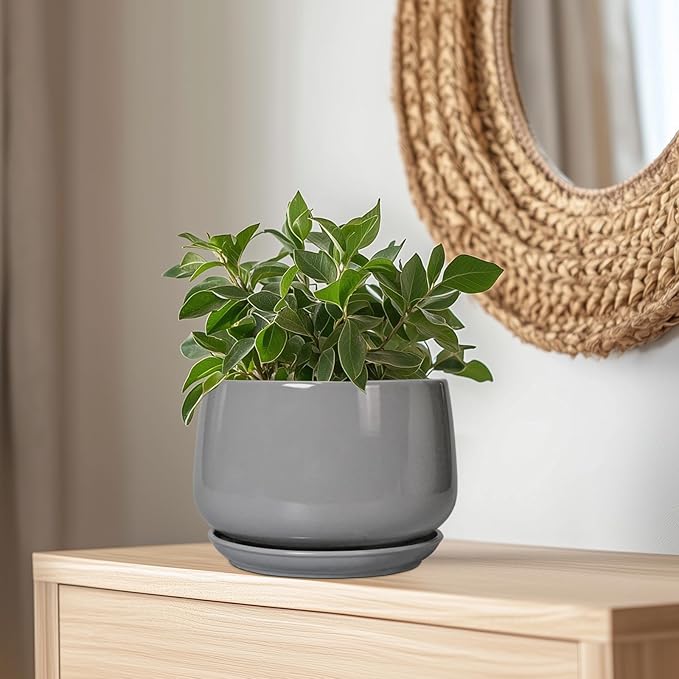 G EPGardening Ceramic Plant Pots - 9 Inch Modern Round Planter with Drainage and Plant Saucer for Indoor Outdoor Flower, Apartment Decor, Birthday Gifts, Grey