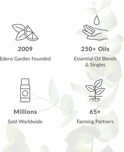 Edens Garden Sore Muscles & Pain Ease Essential Oil Blend- 100% Pure Premium Grade, Undiluted, Natural, Therapeutic, Aromatherapy, The Best for Skin, Face, Humidifiers 30 ml (1 fl oz)