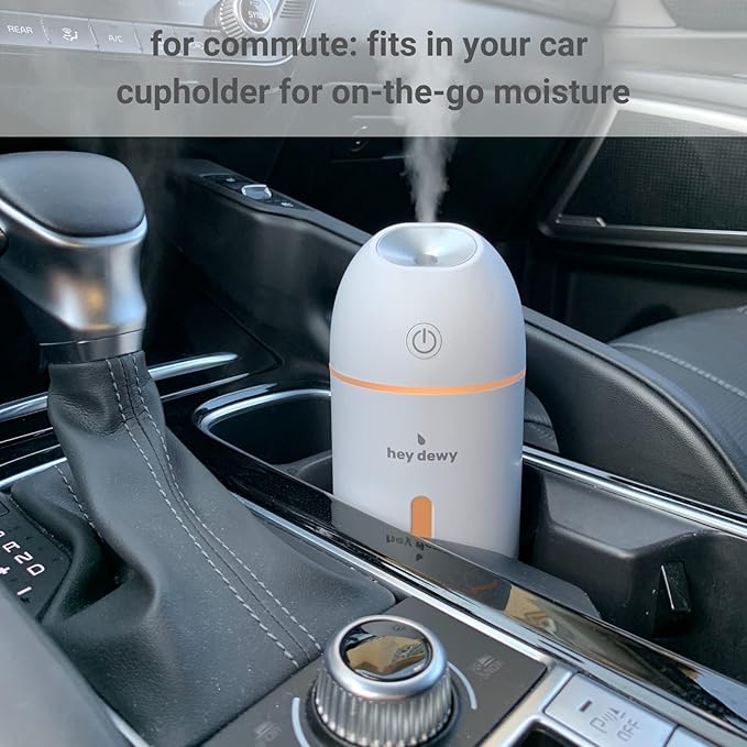 Hey Dewy Wireless, Rechargeable, Self-Care, Skin-Nourishing, Hydrating, Portable Cool Mist Humidifier (Pearl)
