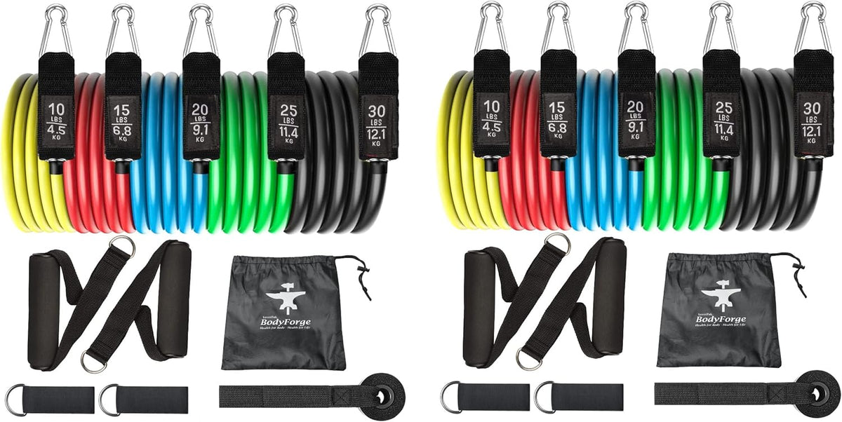 BodyForge Resistance Bands, Exercise Bands, Resistance Bands for Working Out, Work Out Bands with Handles for Men and Women Fitness, Strength Training Home Gym Equipment