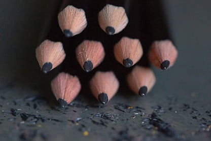 Ticonderoga Wood-Cased Pencils, 2 HB Soft, Black, 24 Count