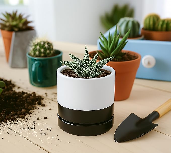 D'vine Dev 4.7 Inch Ceramic Planter Pot with Drainage Hole and Saucer, Indoor Cylinder Round Planter Pot, Layered Monochrome Black & White, 94-O-B-L