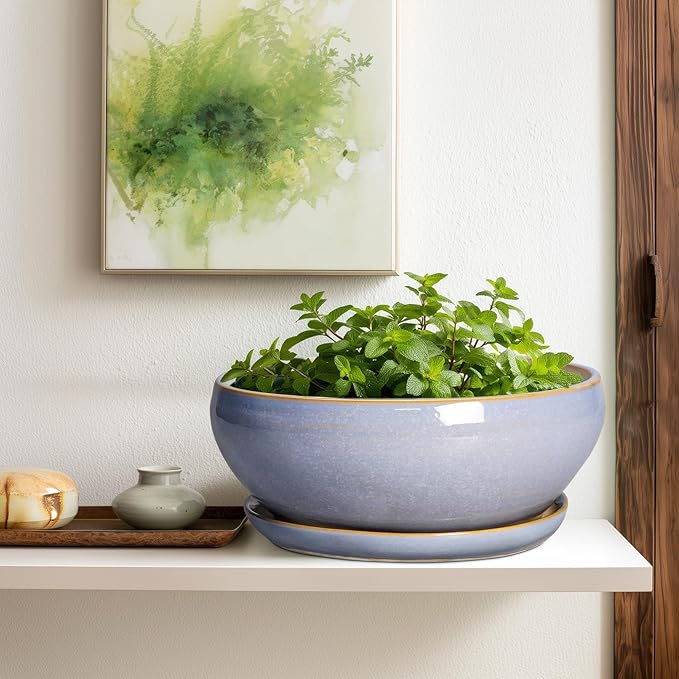 SQOWL 12 Inch Bonsai Pots - Shallow Ceramic Planter for Indoor Plants Outdoor, Large Succulent Pots with Drainage Hole and Saucer, Round Planter Bowl, Porch Decor, Gifts for Plant Lover, Blue