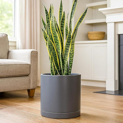 D'vine Dev 12 Inch Ceramic Planter Pot with Drainage Hole and Saucer, Indoor Cylinder Round Planter Pot, Speckled Grey, 94-O-F-3