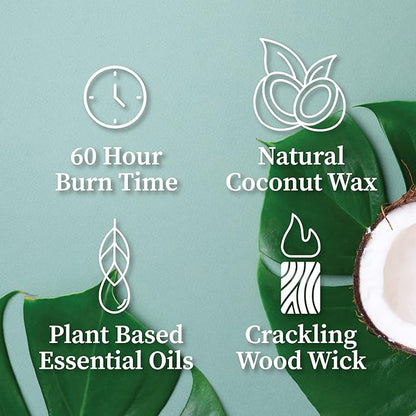 Hemlock Park Crackling Wood Wick Candle Handcrafted with Natural Coconut Wax (Standard 8 oz, Lily of The Valley)
