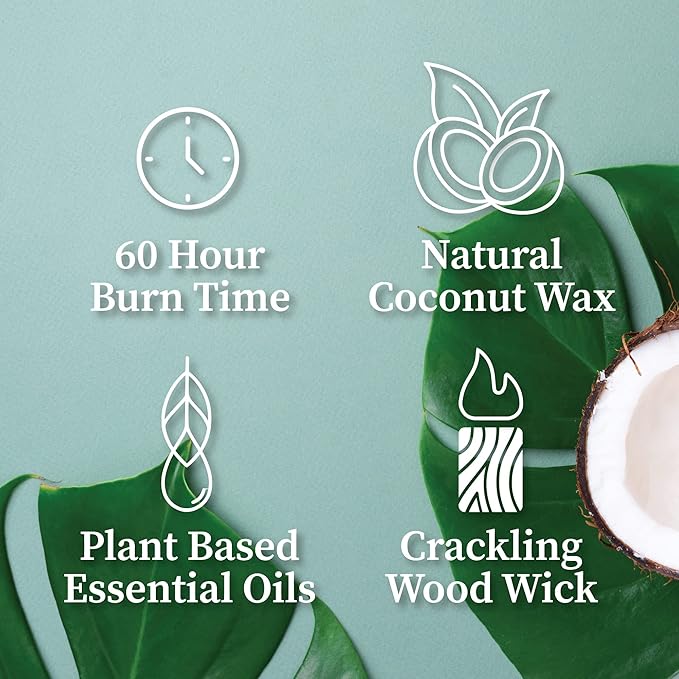 Hemlock Park Crackling Wood Wick Candle Handcrafted with Natural Coconut Wax (Standard 8 oz, Yuzu Citrus)