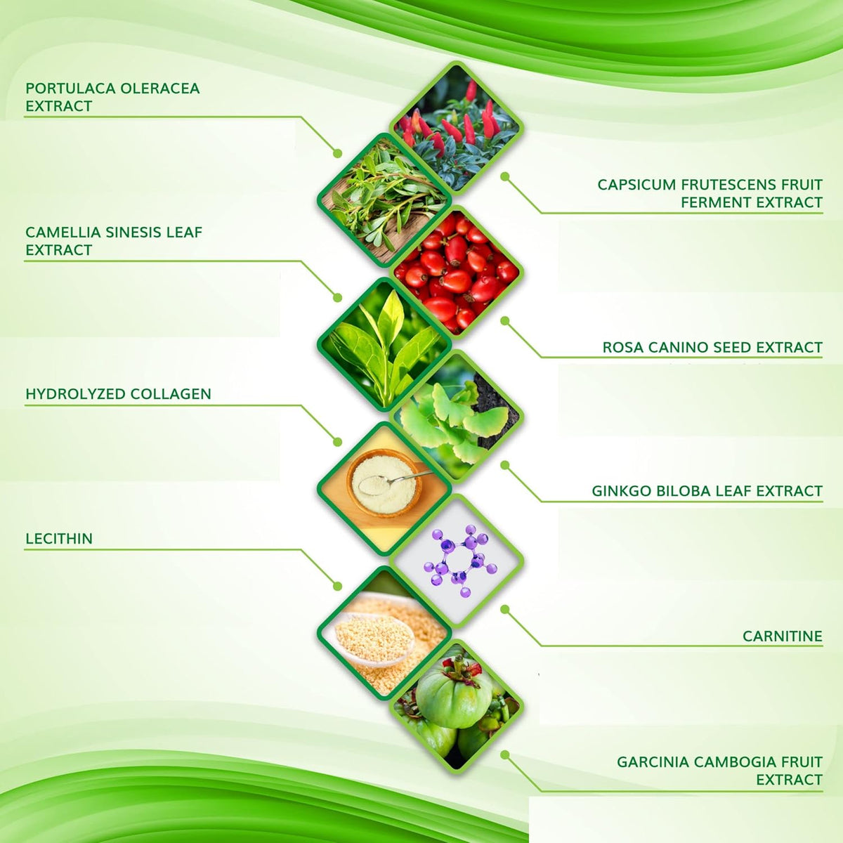 Firming and Shaping Contouring Moisturizing Body Wrap. New improved all natural anti cellulite solution (10 WRAPS+GEL)