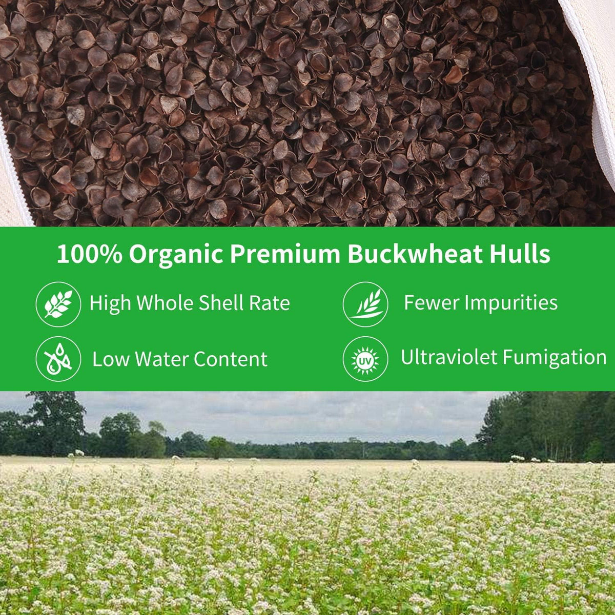 Organic Buckwheat Bolster (24X10.5X5.5 in) Supportive Rectangular Meditation Pillow 100% Cotton Cover Yoga Pillow