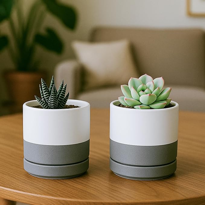D'vine Dev Set of 2 Plants Pots, 3.5 Inch Ceramic Planter Pot for Plants with Drainage Hole and Saucer, White/Speckled Grey, 94-V-A-6