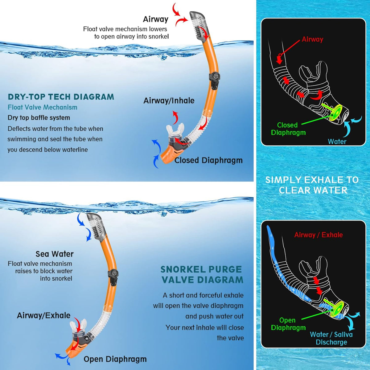 ZEEPORTE Mask Fin Snorkel Set, Travel Size Snorkeling Gear for Adults with Panoramic View Anti-Fog Mask, Trek Fins, Dry Top Snorkel and Gear Bag for Swimming Training, Snorkeling Kit Diving Packages