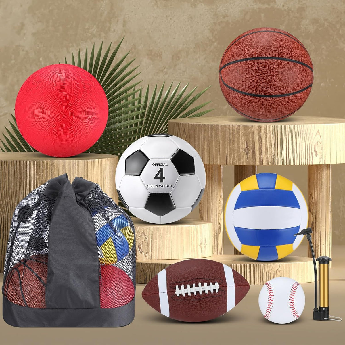 Deekin 12 Pcs Assorted Sport Ball Set Official Size Basketball, Football, Volleyball, Soccer, Baseball, Playground Ball with Bag and Pump Gift for Kid Youth Adult Back to School