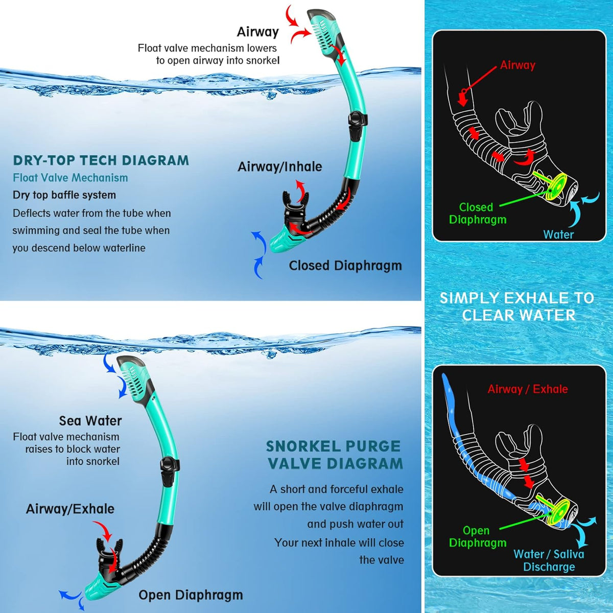 ZEEPORTE Mask Fin Snorkel Set, Travel Size Snorkeling Gear for Adults with Panoramic View Anti-Fog Mask, Trek Fins, Dry Top Snorkel and Gear Bag for Swimming Training, Snorkeling Kit Diving Packages