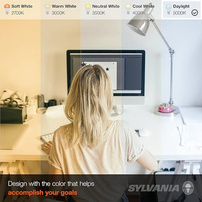 Sylvania LED A19 Light Bulb, 100W = 14W, Non-Dimmable, Frosted Finish, 1500 Lumens, 5000K, Daylight - 12 Pack (40205)