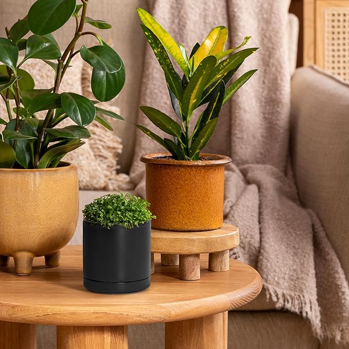 D'vine Dev Set of 2 Plants Pots, 3.5 Inch Ceramic Planter Pot for Plants with Drainage Hole and Saucer, Black, 94-V-A-2
