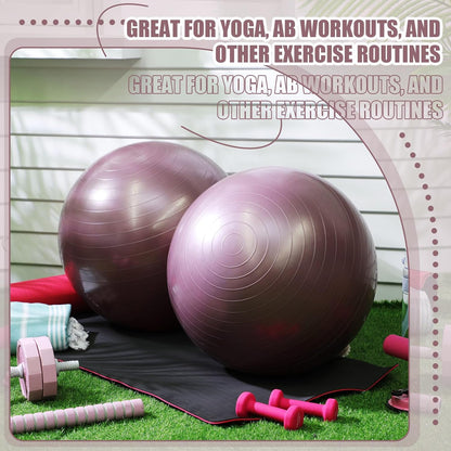 Leyndo 2 Pcs Yoga Ball Exercise Ball Large 26 Inch Exercise Anti Burst Birthing Fitness Ball with Pump, 26 Inches/ 65 cm for Improved Posture, Balance, Yoga, Pilates, Training