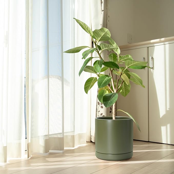 D'vine Dev 10 Inch Ceramic Planter Pot with Drainage Hole and Saucer, Indoor Cylinder Round Planter Pot, Olive, 94-O-E-J