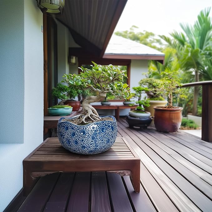 10 Inch Plant Pot - Ceramic Pots for Plants Indoor Outdoor, Round Bonsai Pots with Drainage Hole, Decorative Flower Pot, Modern Unique Planters, House Decor, Housewarming Gifts, Blue
