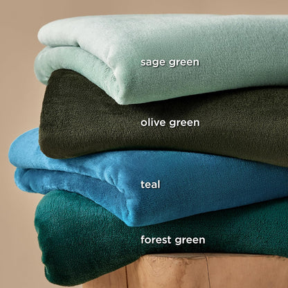 Bedsure Fleece Blanket Twin Size Sage Green - 300GSM Lightweight Plush Fuzzy Cozy Soft Warm Blanket for Bed, Sofa, Couch, Travel, Camping, 60x80 inches