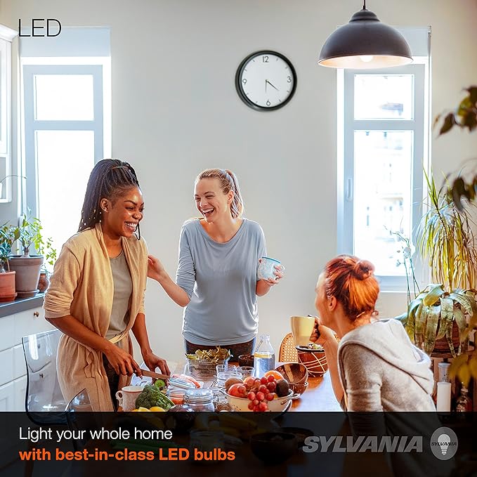 Sylvania LED Light Bulb, 100W Equivalent A19, Efficient 14W, Medium Base, Frosted Finish, 1500 Lumen, Soft White - 24 Pack (41299)