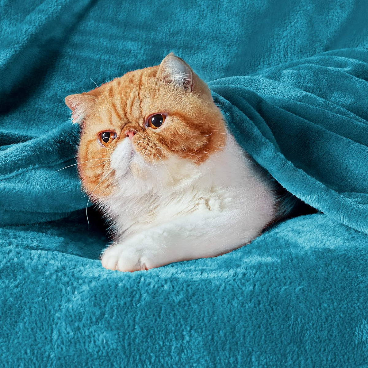 Bedsure Twin XL Fleece Blanket Dorm Bedding - Lightweight Soft Cozy Blankets for Bed, Sofa, Couch, Travel, Camping, Teal Blue, 66"x90"