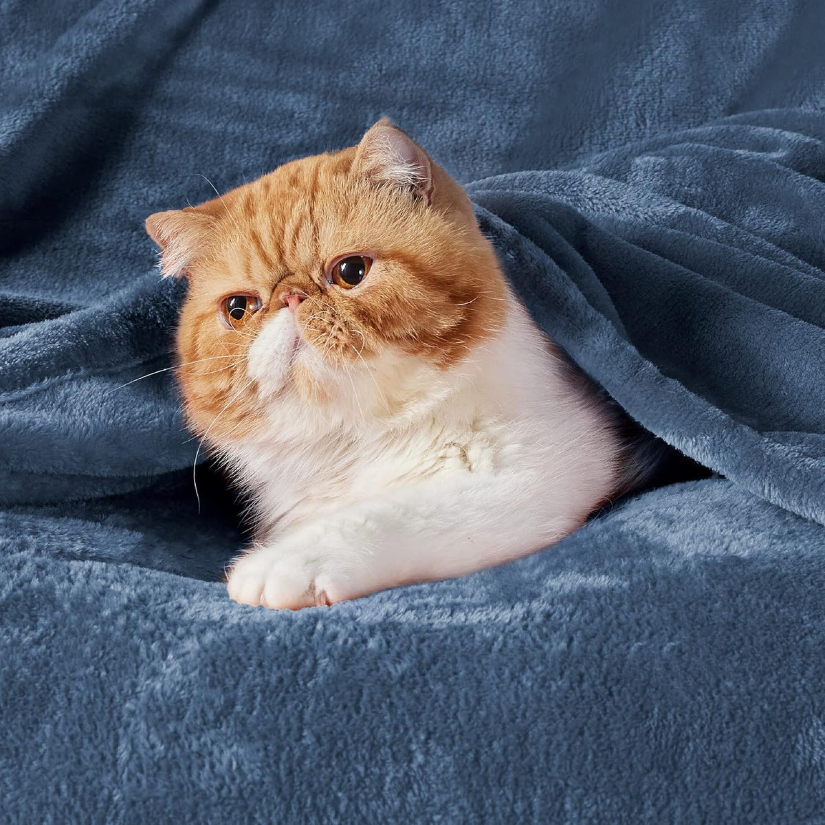 Bedsure Fleece Blanket Twin Size Mineral Blue - 300GSM Lightweight Plush Fuzzy Cozy Soft Warm Blanket for Bed, Sofa, Couch, Travel, Camping, 60x80 inches