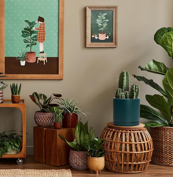 D'vine Dev 8 Inch Ceramic Planter Pot with Drainage Hole and Saucer, Indoor Cylinder Round Planter Pot, Teal, 94-O-D-9