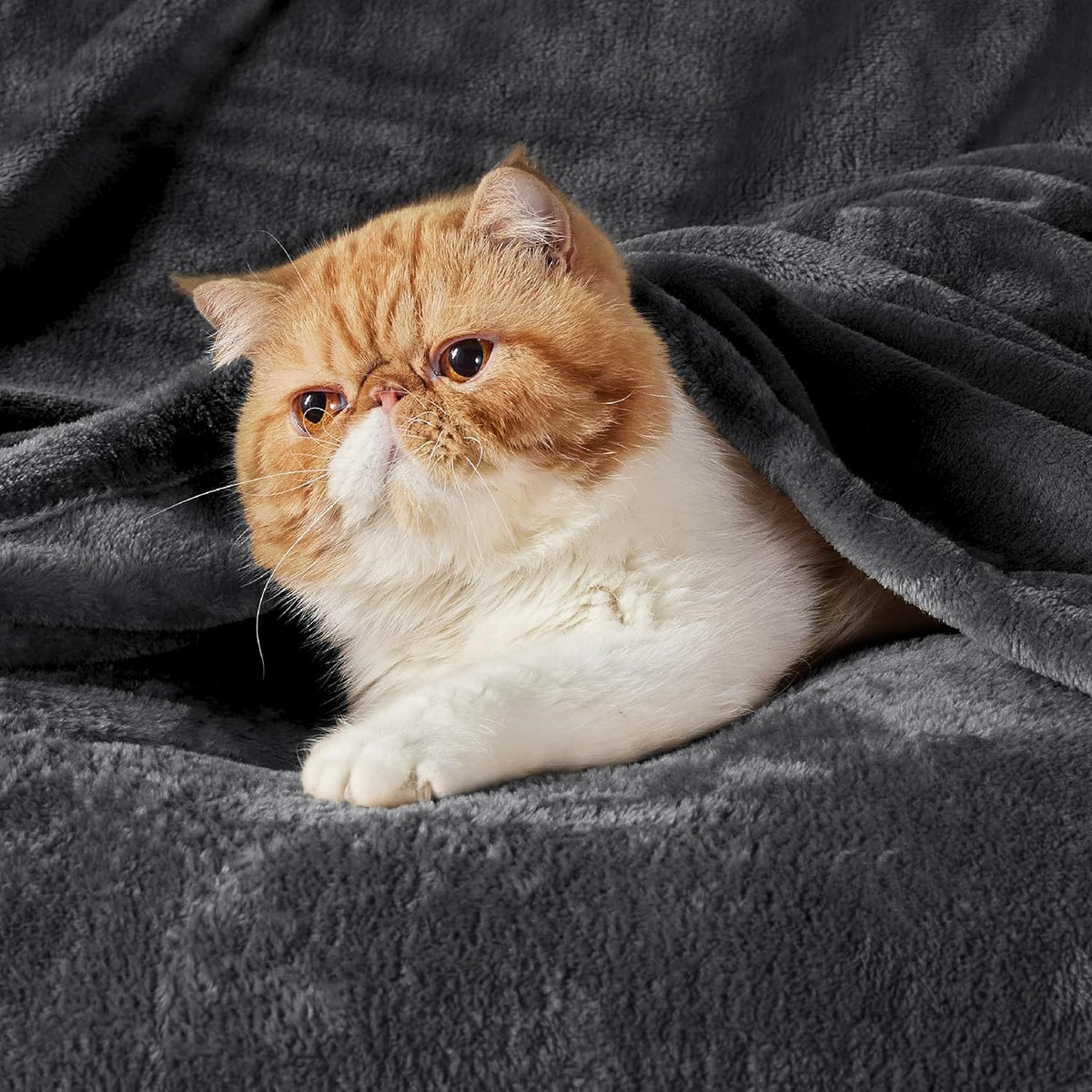 Bedsure Fleece Blankets King Size Dark Grey - Bed Blanket Soft Lightweight Plush Cozy Fuzzy Luxury Microfiber, 108x90 inches